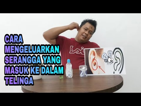 Cara Mengeluarkan Serangga yang masuk ke dalam Telinga