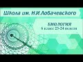 Биология 6 класс 23-24 недели. Транспорт веществ в организме растений