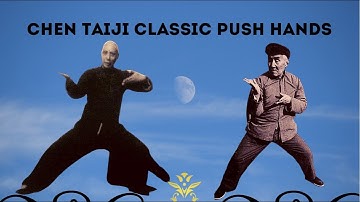 Chen Style Taiji Push Hands #taiji #taichi #hongjunsheng