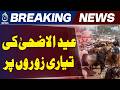 Eid ul Adha Preparations | Festive Season Rush | Market Activity Increases - Aaj News
