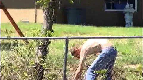 Joshua cutting vines next door