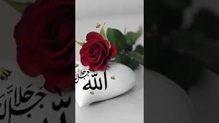 allah ke siva koei ibadat ke layak nahi #islamicshorts #islamicquotes #islamicvideo