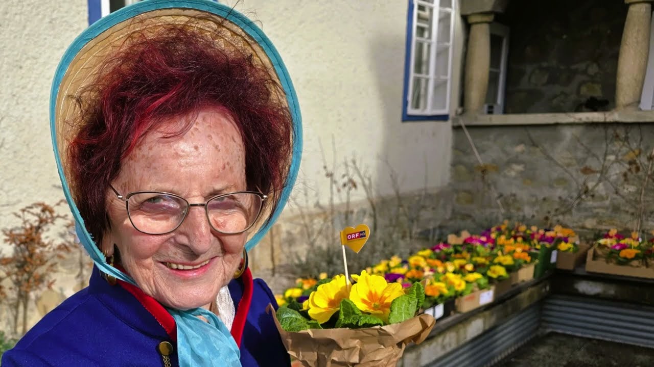 ORF NÖ - mit Valentistag Primeln in Waidhofen  Ybbs  13. Feb. 2026