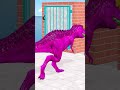Long Slide Game with Cow Elephant Gorilla Hippopotamus Tiger 3d Animal Game Funny 3d Animals
