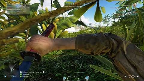 WELCOME TO THE RICEFIELDS MOTHERFUCKER