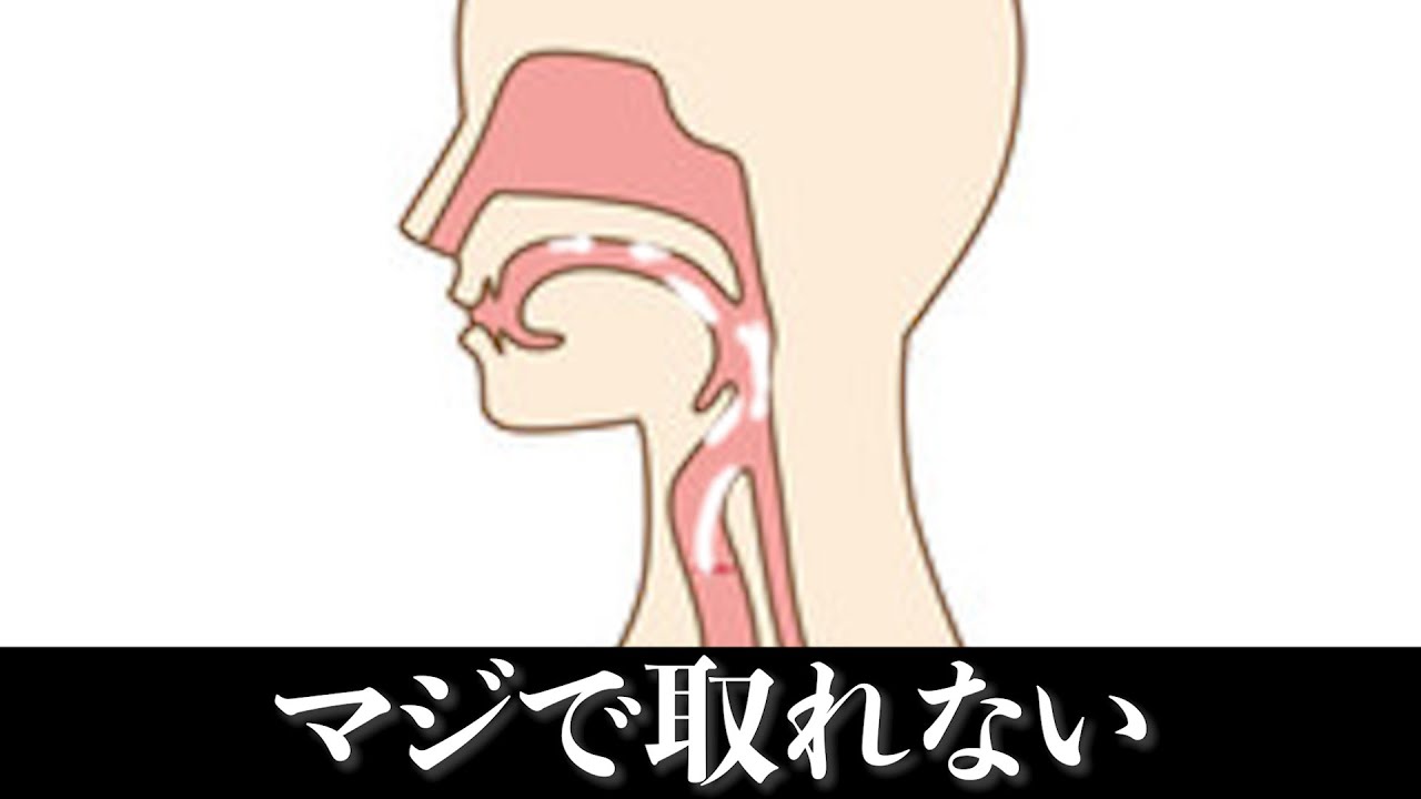 飲精 