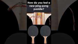 Is there a formula for choosing the perfect ping pong paddle 🏓—or improving your serve?