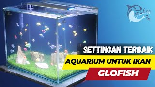 Aquarium untuk glofish | gak ribet bikinnya murah !