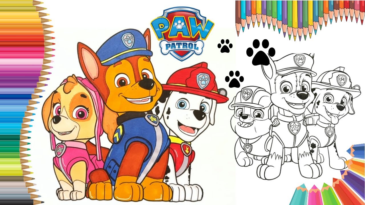 Coloring Paw Patrol Characters Chase Skye Marshall | Paw Patrol