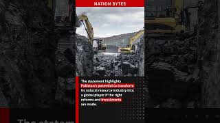 NRL CEO Predicts $8 Billion Mining Boom in Pakistan by 2030