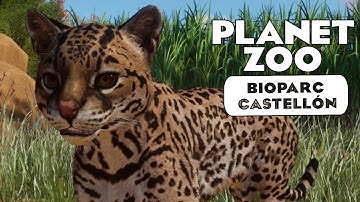 Ozelot «» Bioparc Castellón #31 - Planet Zoo Sandbox Mode 🦇🇪🇸 Deutsch | German