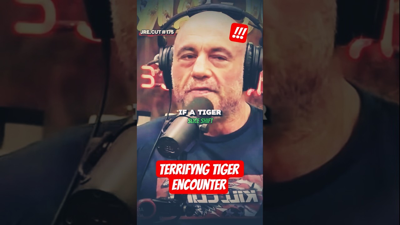 TERRIFYING Tiger Encounter 🐅😱