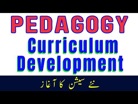 What Is Curriculum & Its Development | Pedagogy & English Grammar Complete Preparation
