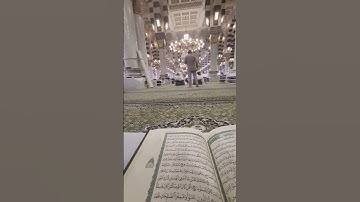 تلاوة من سورة السجدة | حمزة يوسف #المدينة_المنورة