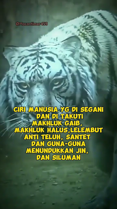 Story WA Macan Putih#khodamleluhur #shorts