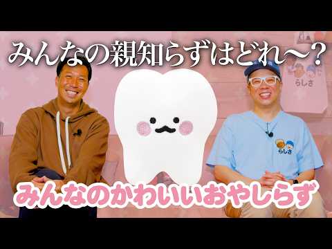 ガチャガチャ屋さん【クオリアらしさチャンネル】 - YouTube