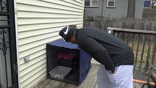 Blue Collar Cat finds home in Southeast D.C.