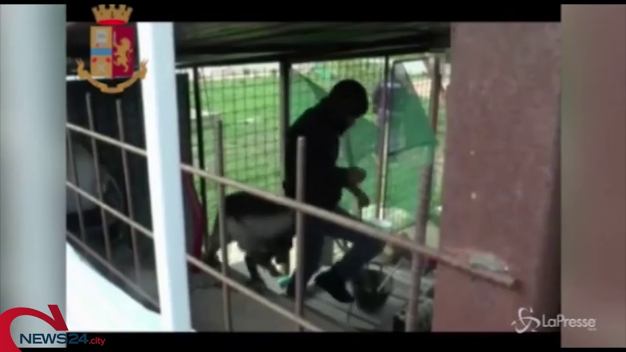 POTENZA | Droga, 16 arresti in Basilicata e Puglia