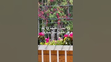 #قرآن #قران_كريم #تلاوة_خاشعة #راحة_نفسية #tilawat #تلاوة_هادئة