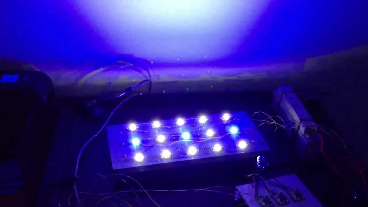 Plafoniere Led Per Nanoreef : Plafoniera led cree acquario marino youtube