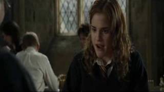 Hate That I Love You (Harry&amp; Hermione)