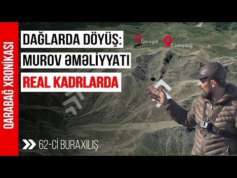 Video: Dəniz arıları İkinci Dünya Müharibəsində döyüş gördülərmi?