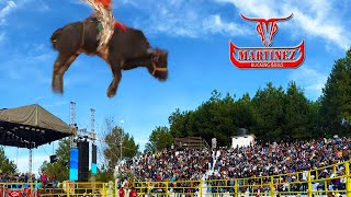 ¡¡TOROS DE MARTINEZ RANCH Y LOS HERMANOS GAONA!! JARIPEO EN PARAMUEN MICHOACAN 09 DE ENERO 2024