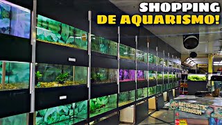 VISITEI UMA LOJA DE AQUARISMO ENORME  SMART FISH
