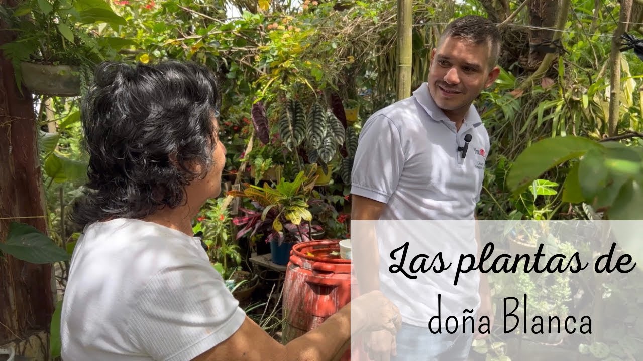JARDÍN COLOMBIANO lleno de amor | la magia de las plantas