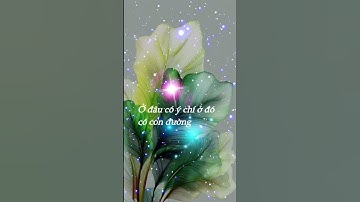 #Triết Lý Giáo Dục Tận Gốc #witdaily #Nội Tâm