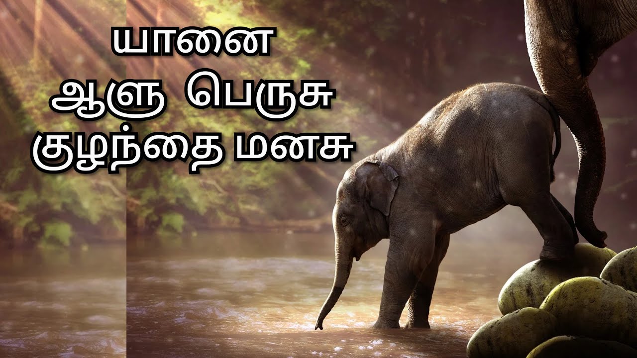 essay about elephant in tamil