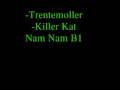 Miniature de la vidéo de la chanson Killer Kat