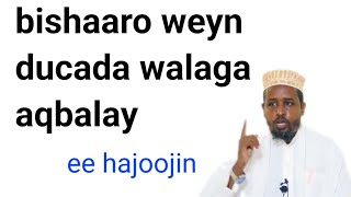 Download Lagu Bishaaro weyn ducada walaga aqbalay ee hajoojin MP3