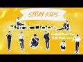 [繁體中字/惡搞] Stray Kids - Back Door 互換Part Ver. (迷你迷你FM)