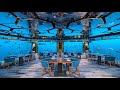 Underwater restaurant in the maldives  surreal fine dining experience