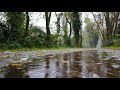 &quot; Raindrops &quot; Soft Peaceful Piano Music : Rain Meditation in Forest   - Short Version -