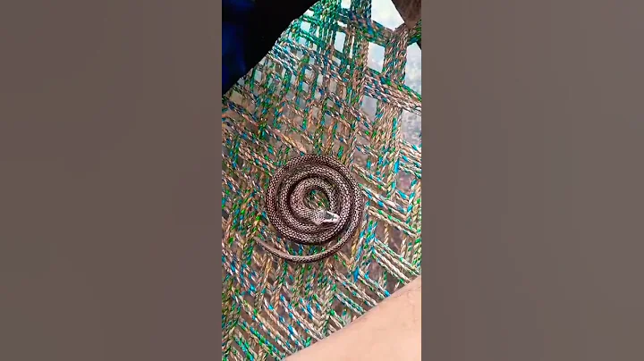 #funk #phonk #edit #music #shortfeed #shortfeed #drawling #art #art