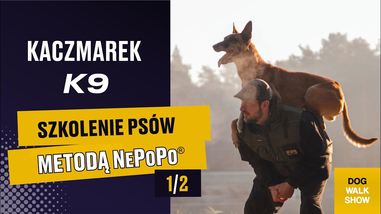 KACZMAREK K9 i trening psów metodą NePoPo® | DOG WALK SHOW #38