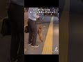 会社帰りのパパを遠くから発見して猛ダッシュする犬が可愛すぎる