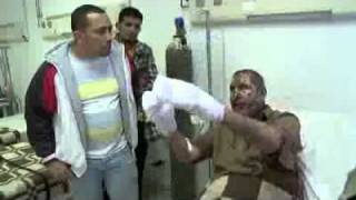 Information Egypt: Seeking Safety Guide