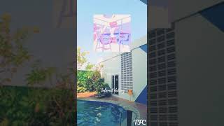 Download Lagu Yaosobi - Tabun | 2021 #japan #music MP3