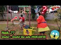 Yuk Mencari Kepala Ondel Ondel Betawi || Menemukan Boneka Mampang, Boboiboy, Barongan, Squidgame