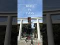 White in Japan - Moments of Peace 🤍 #japan #japantravel #torii #wisteria #scenery #shorts