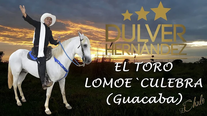 Dulver Hernandez  - Toro lomoeculebra (Guacaba)