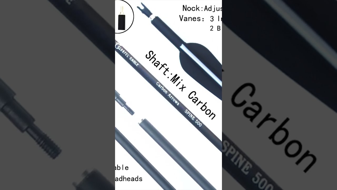 Carbon Arrows Replaceable ArrowHead