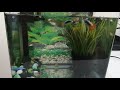 My  guppies   aquarium