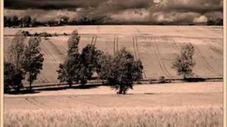 Hummingbird - Cocoon