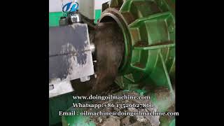 Groundnut oil expeller machine, peanut oil extraction machine running process video