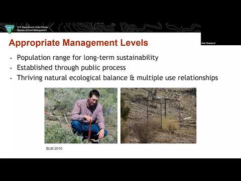 Sagebrush Conservation Strategy: