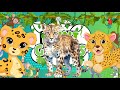 Speedy Cheetah Natures Fastest Land Animal 🐆 #educationalvideo #cheetah #fastest #minigenius